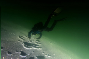 Diver on the "Moon" by Veronika Matějková 